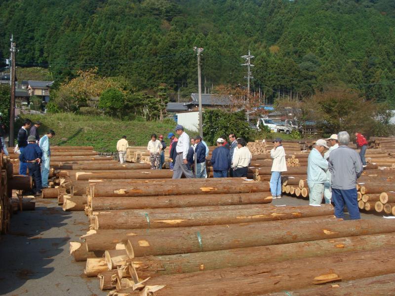 美杉木材市場