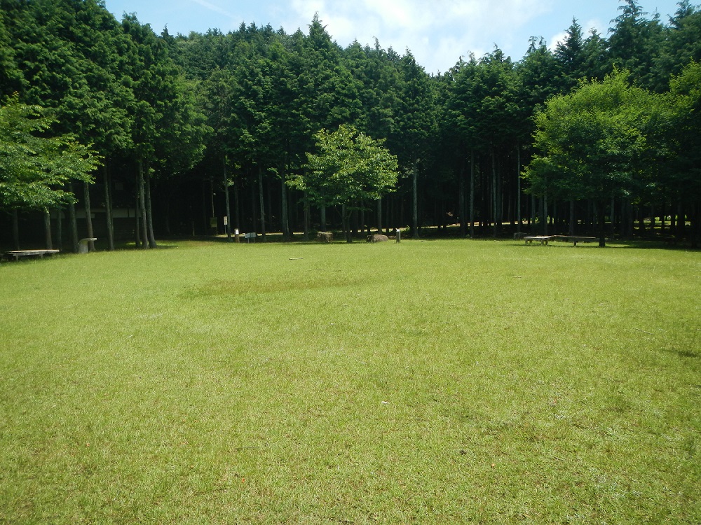 みのお記念の森芝生広場