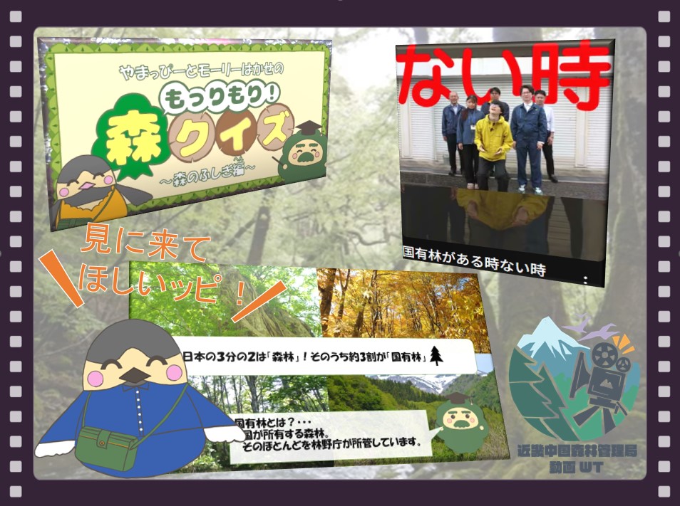 動画紹介ページへのバナー