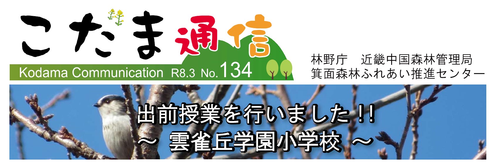 こだま通信134号の見本画像