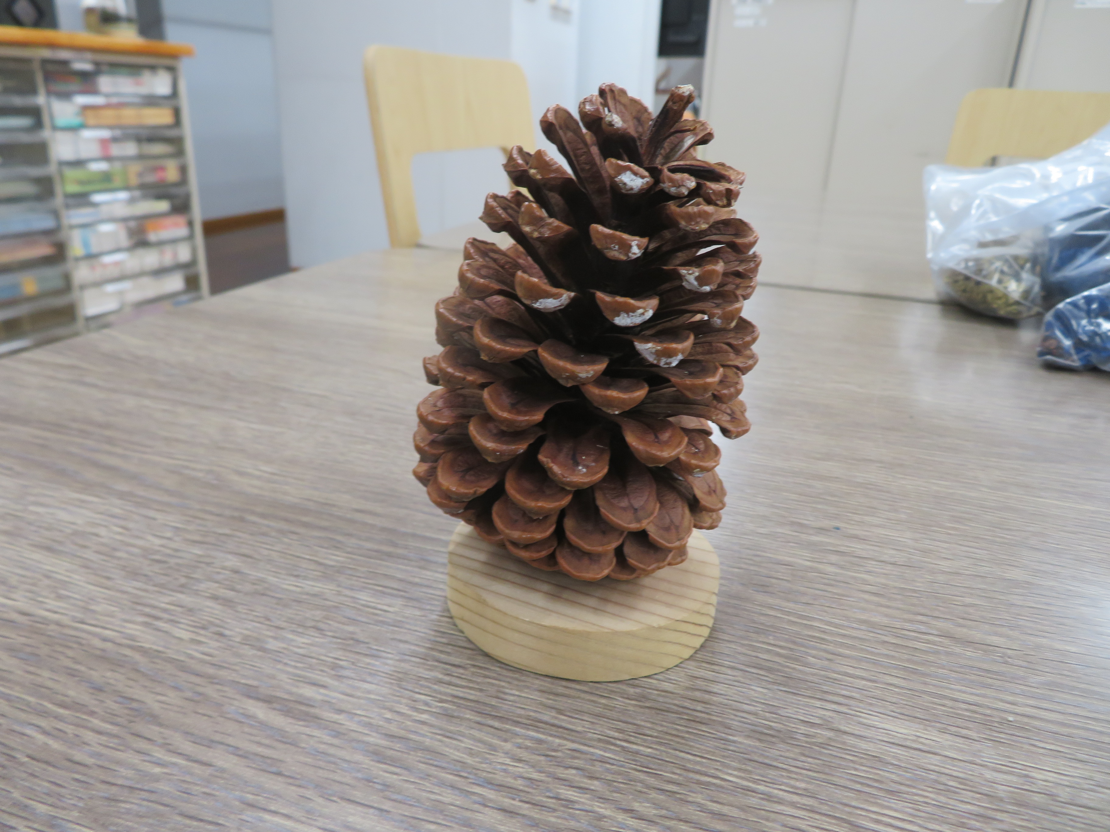 ネジに松ぼっくりを差し込んだ様子