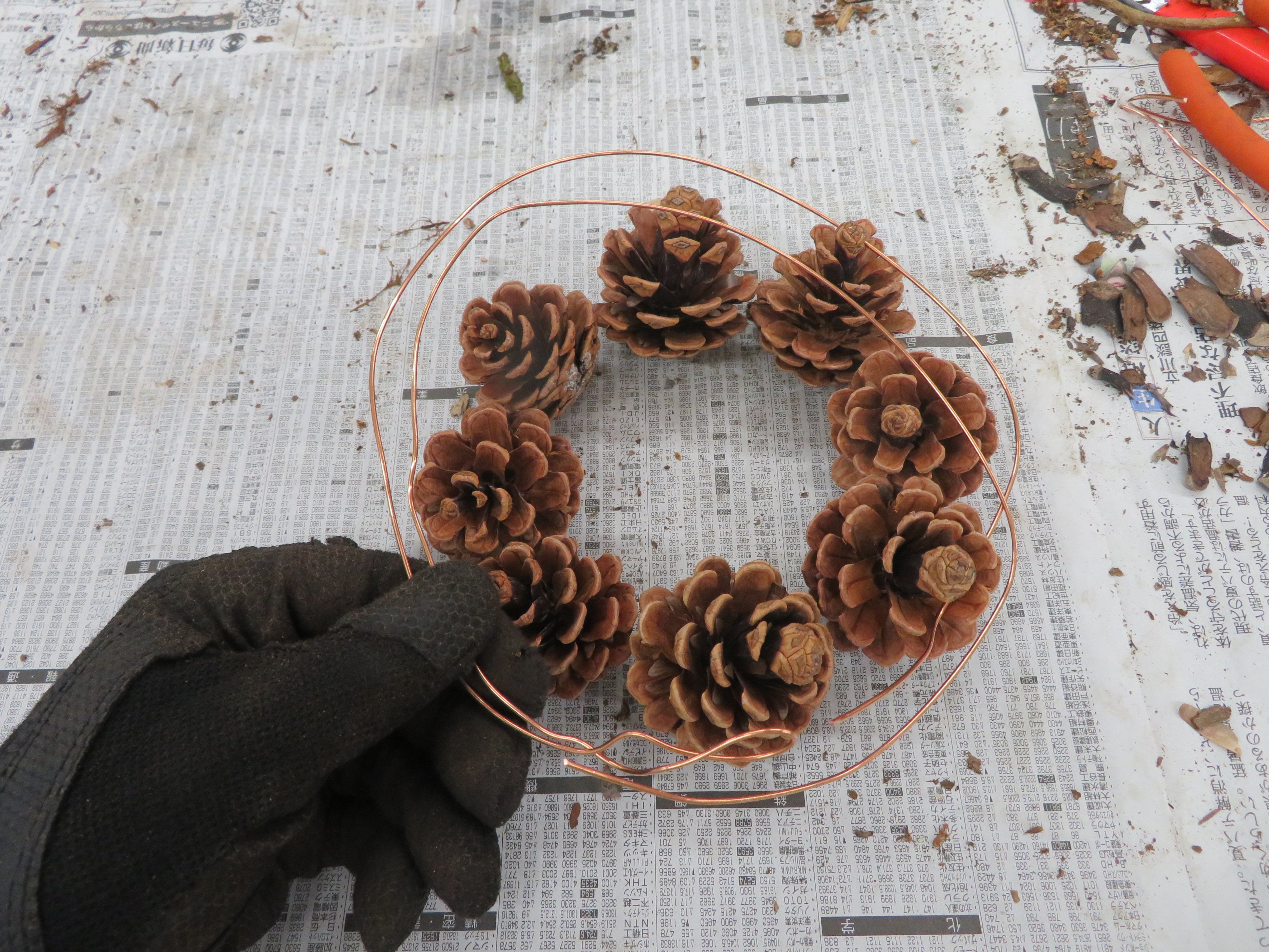 銅線を、並べた松ぼっくりを2周するくらいの長さで切った様子