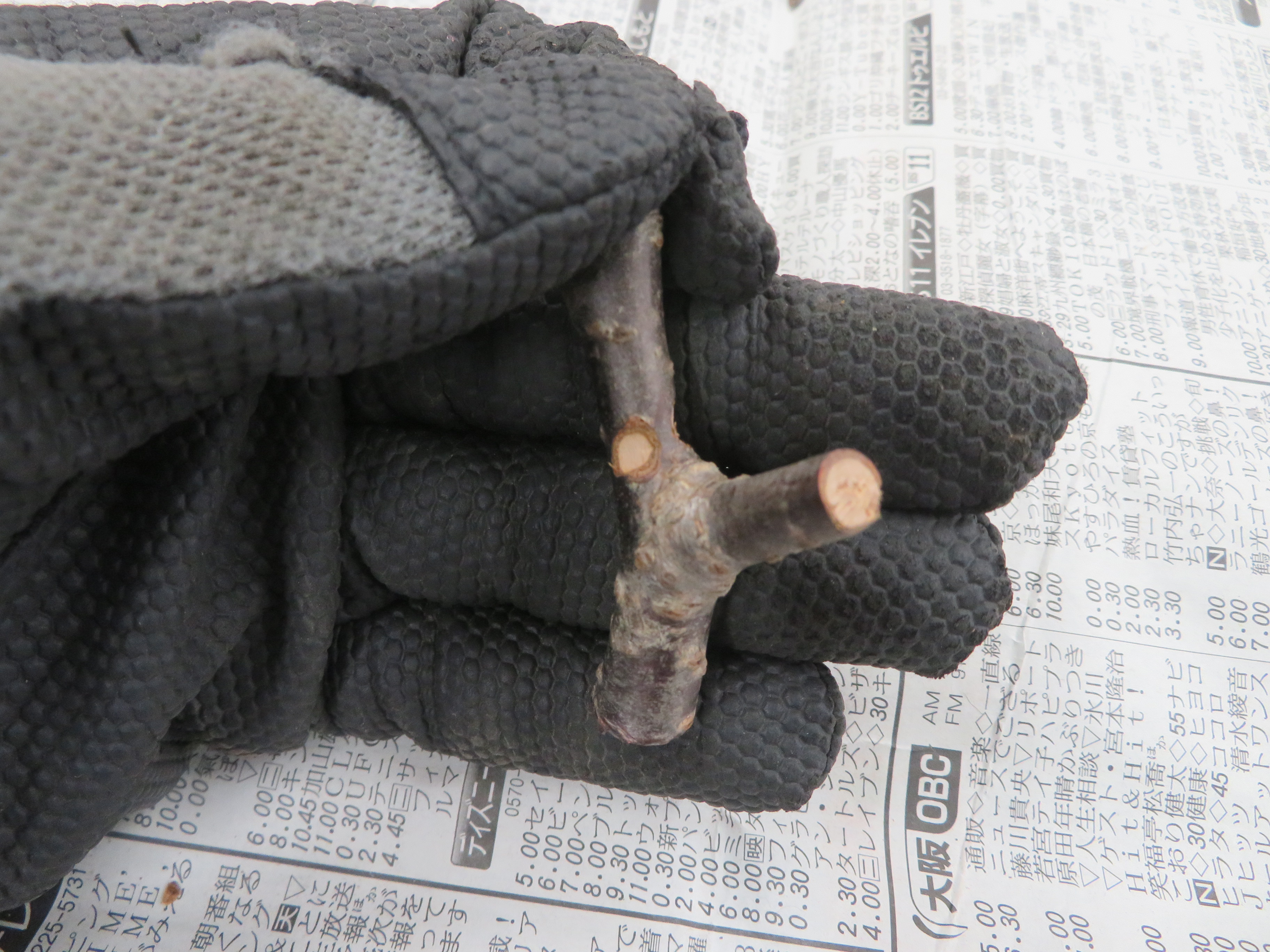 右目を作成した様子