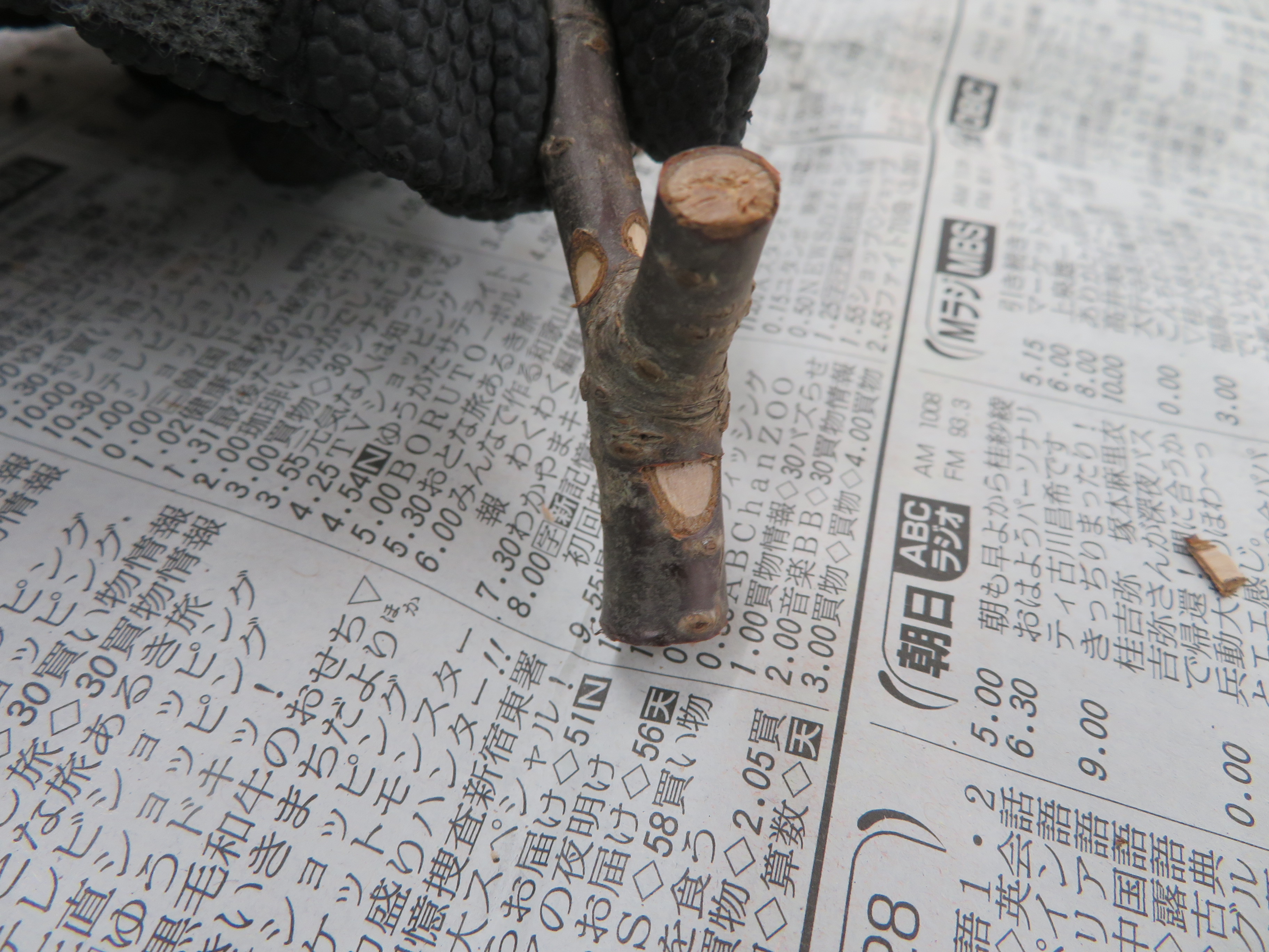 口を作成した様子