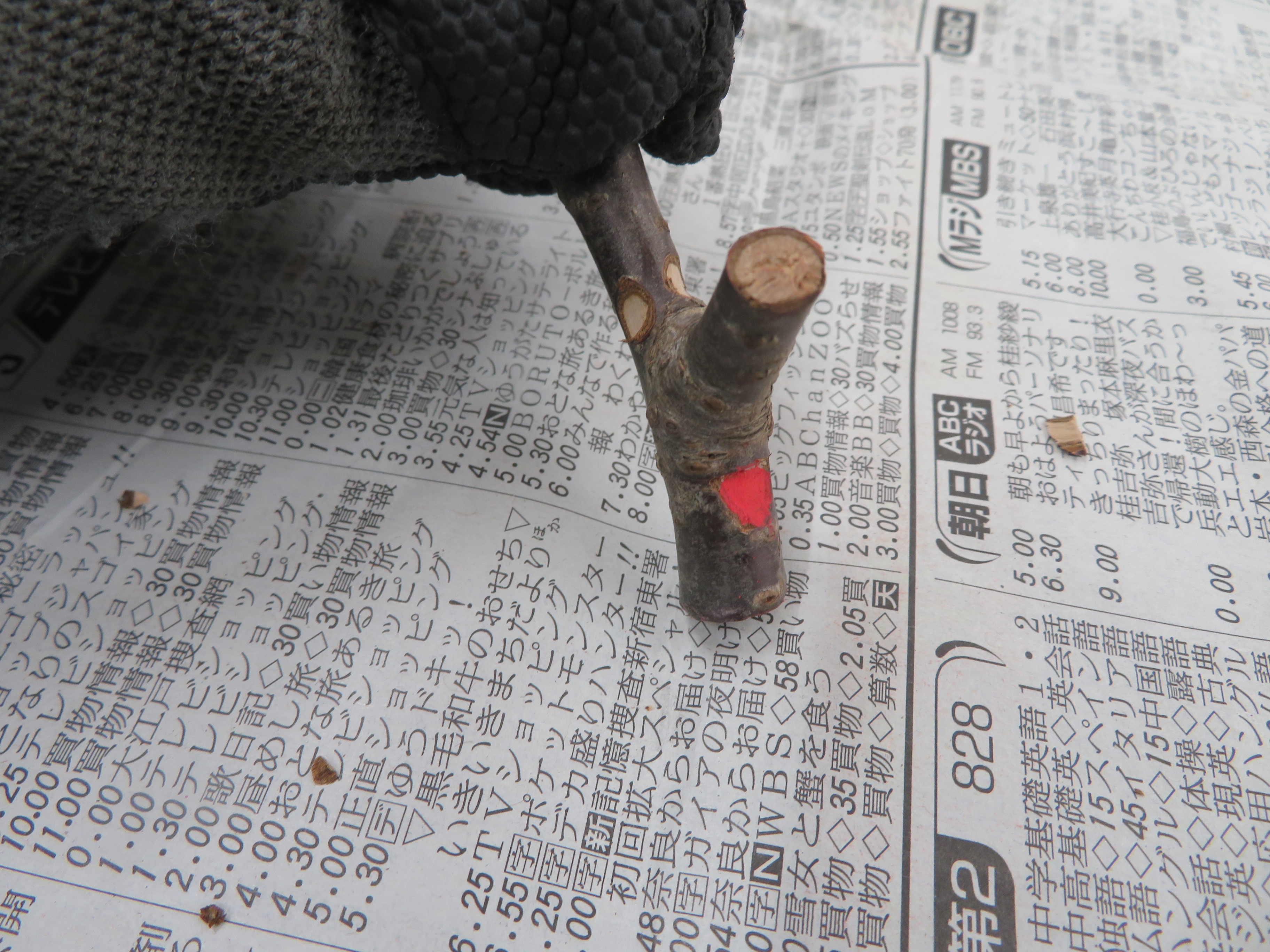 口に色を塗った様子