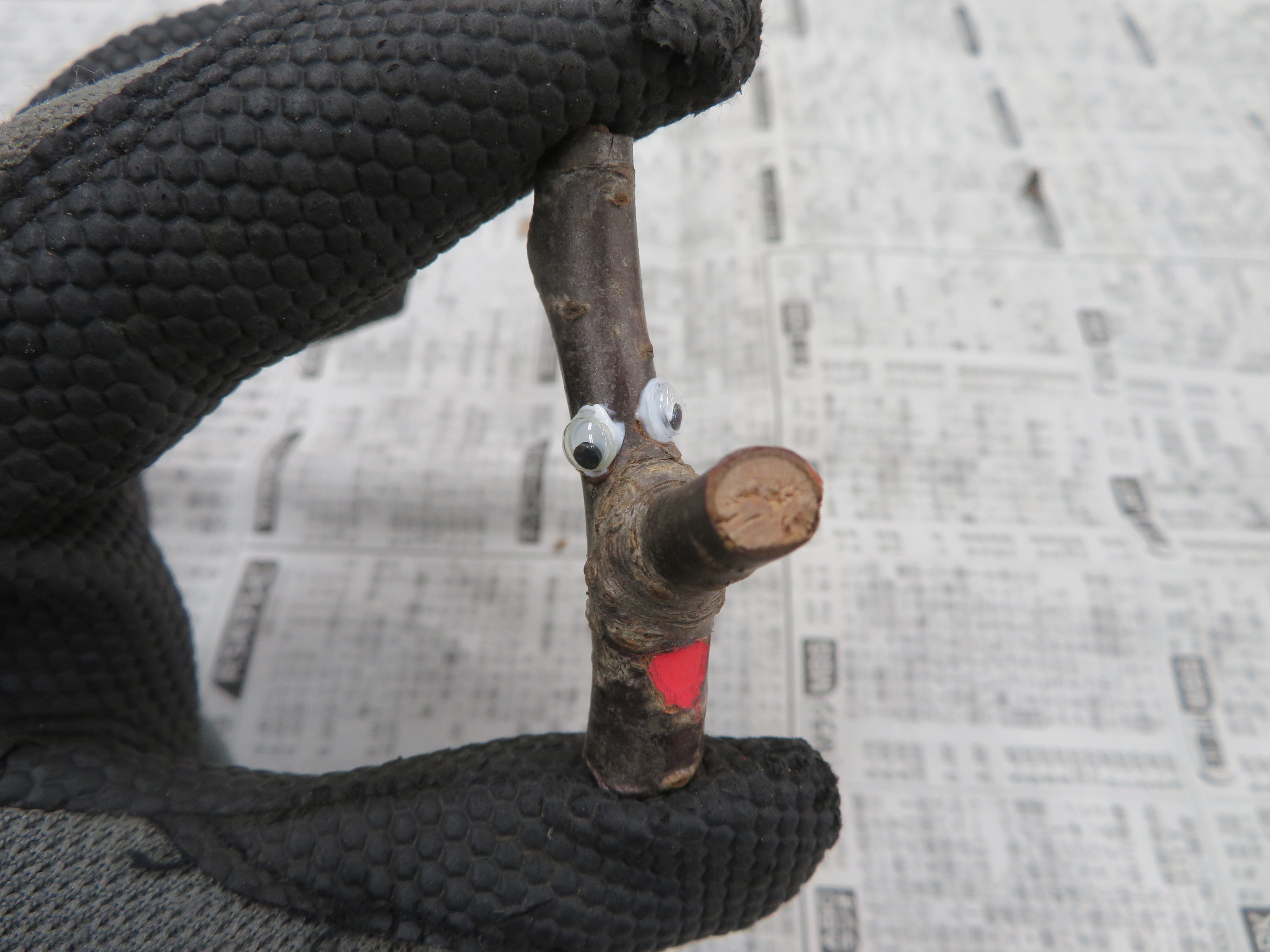 活動眼を張り付けた様子