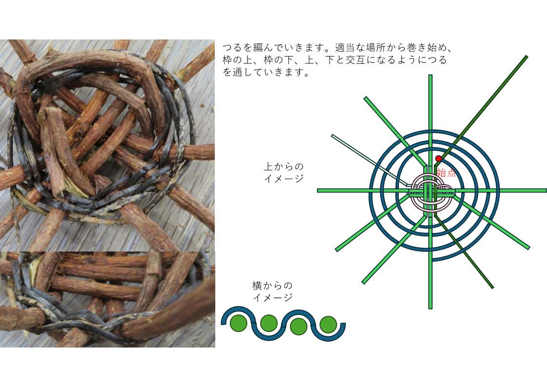 つるを編み始めた様子