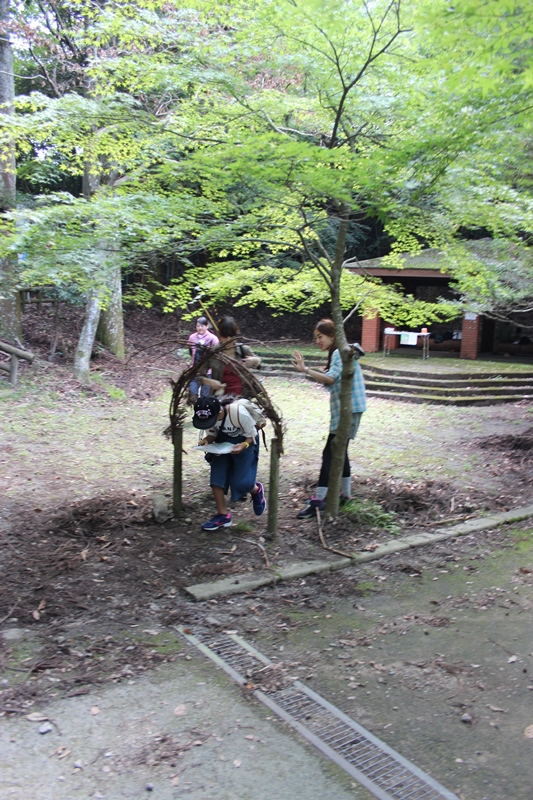 森の時間旅行2