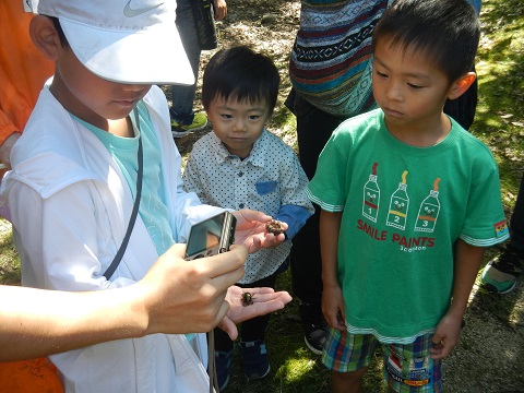 森に住む虫を観察する子どもたち