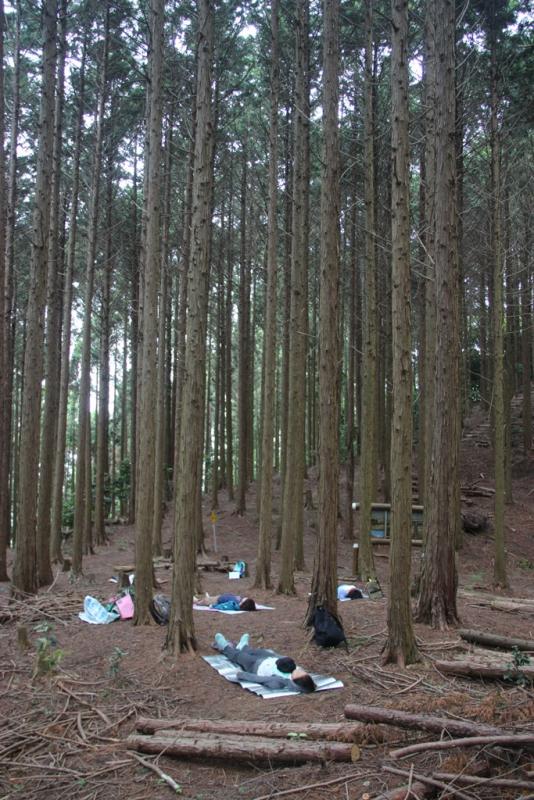 H28.5森林セラピー瞑想