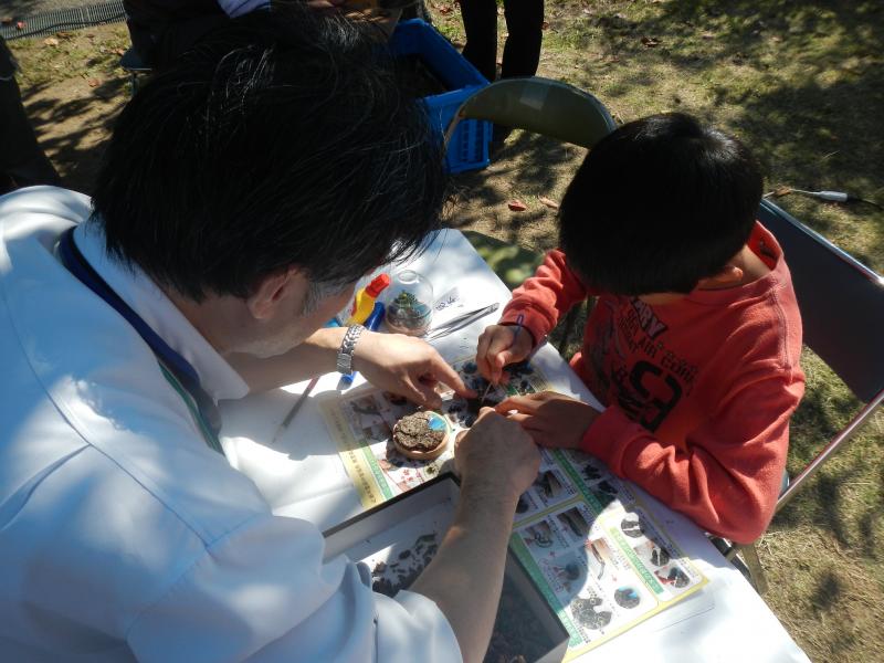 minooevent6