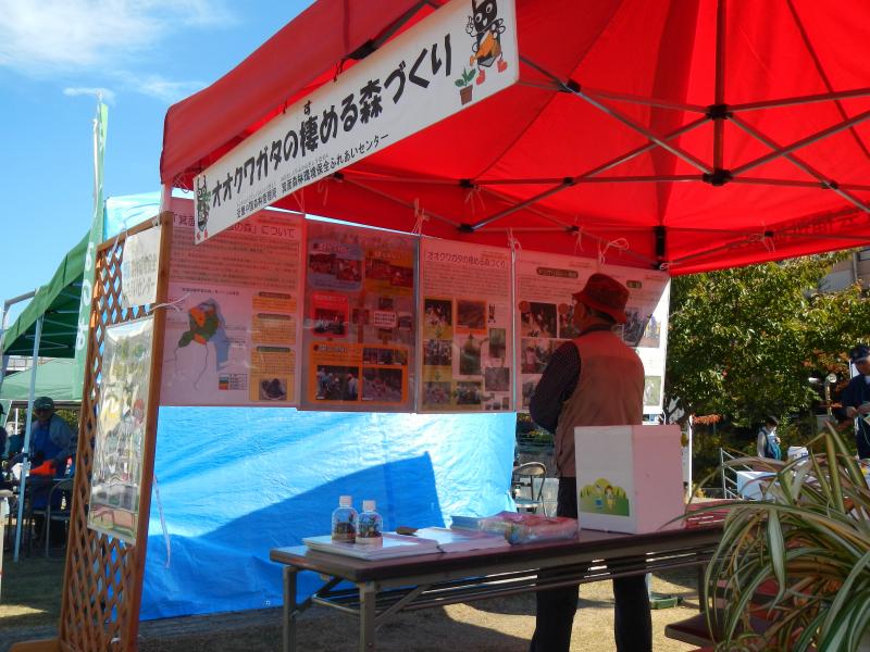 minooevent7