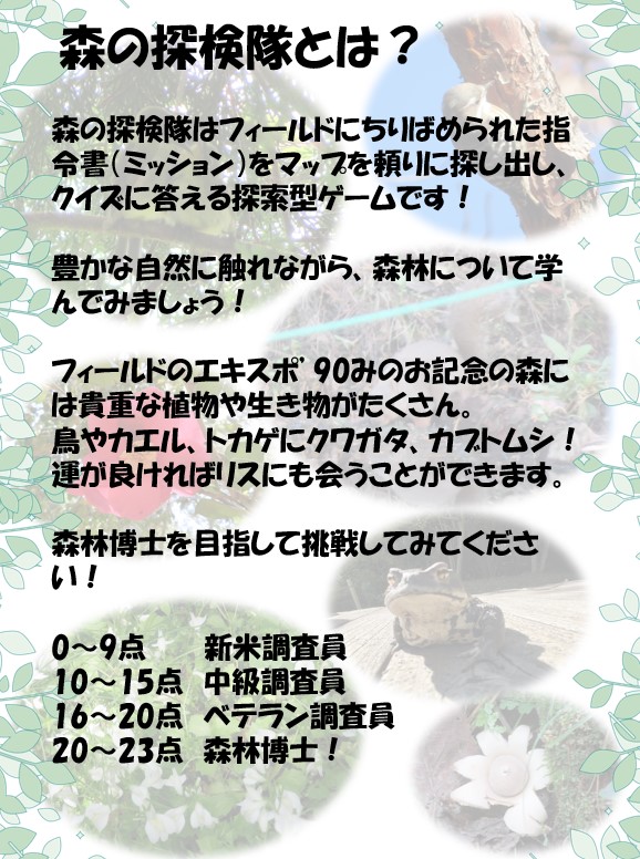 森の探検隊の説明画像