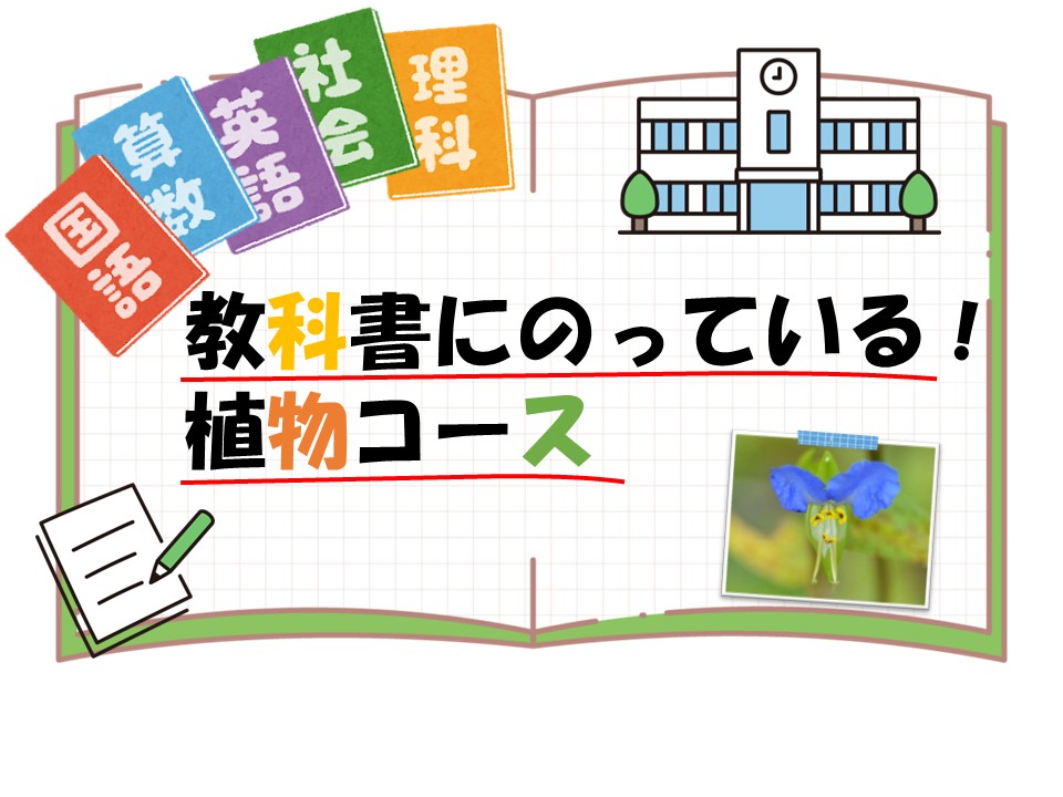 教科書にのっている!植物コースのタイトル画像