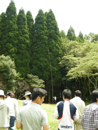 木の高さを目測する