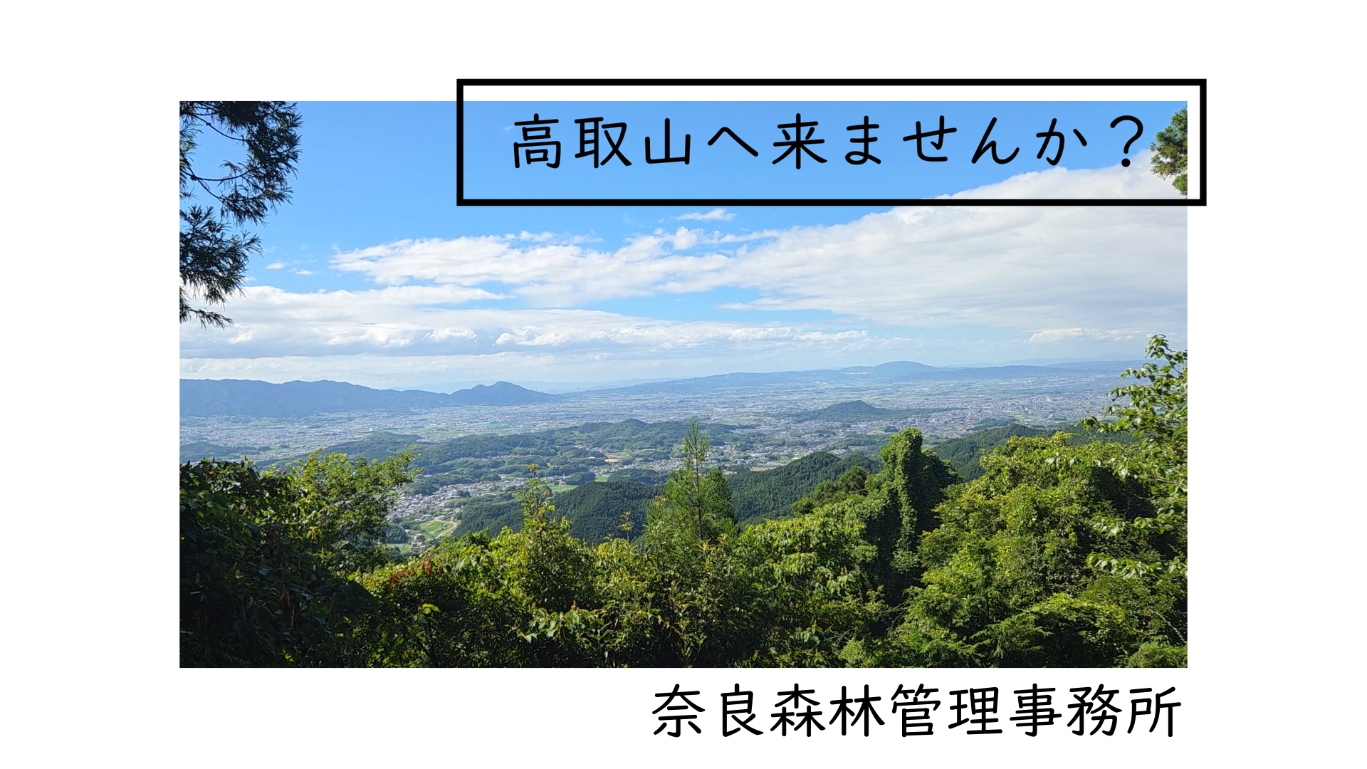 高取山国有林のPR動画