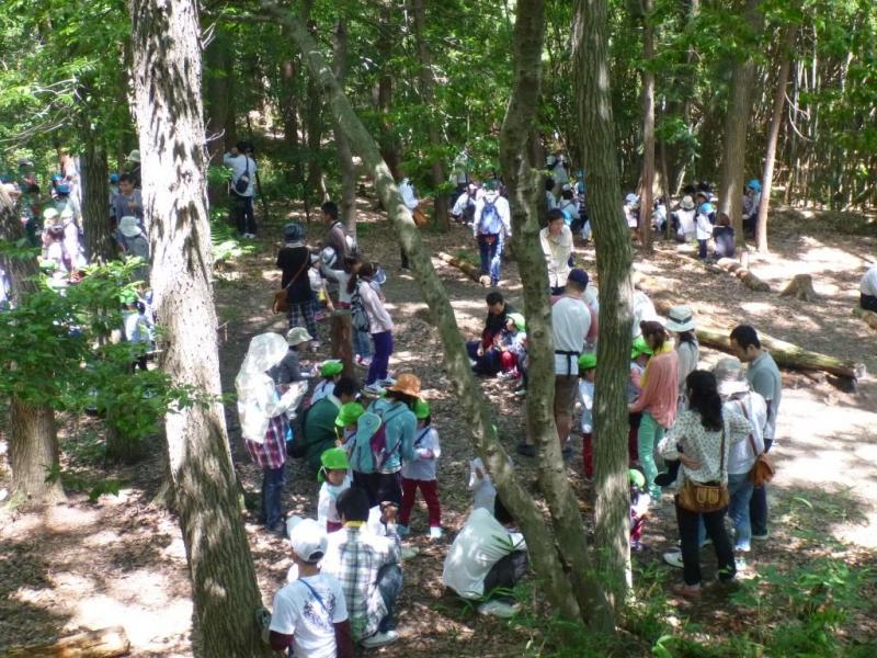 森の幼稚園２