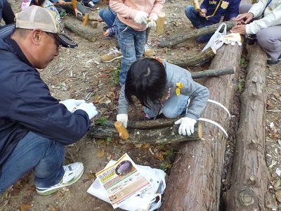 大亀谷探険4