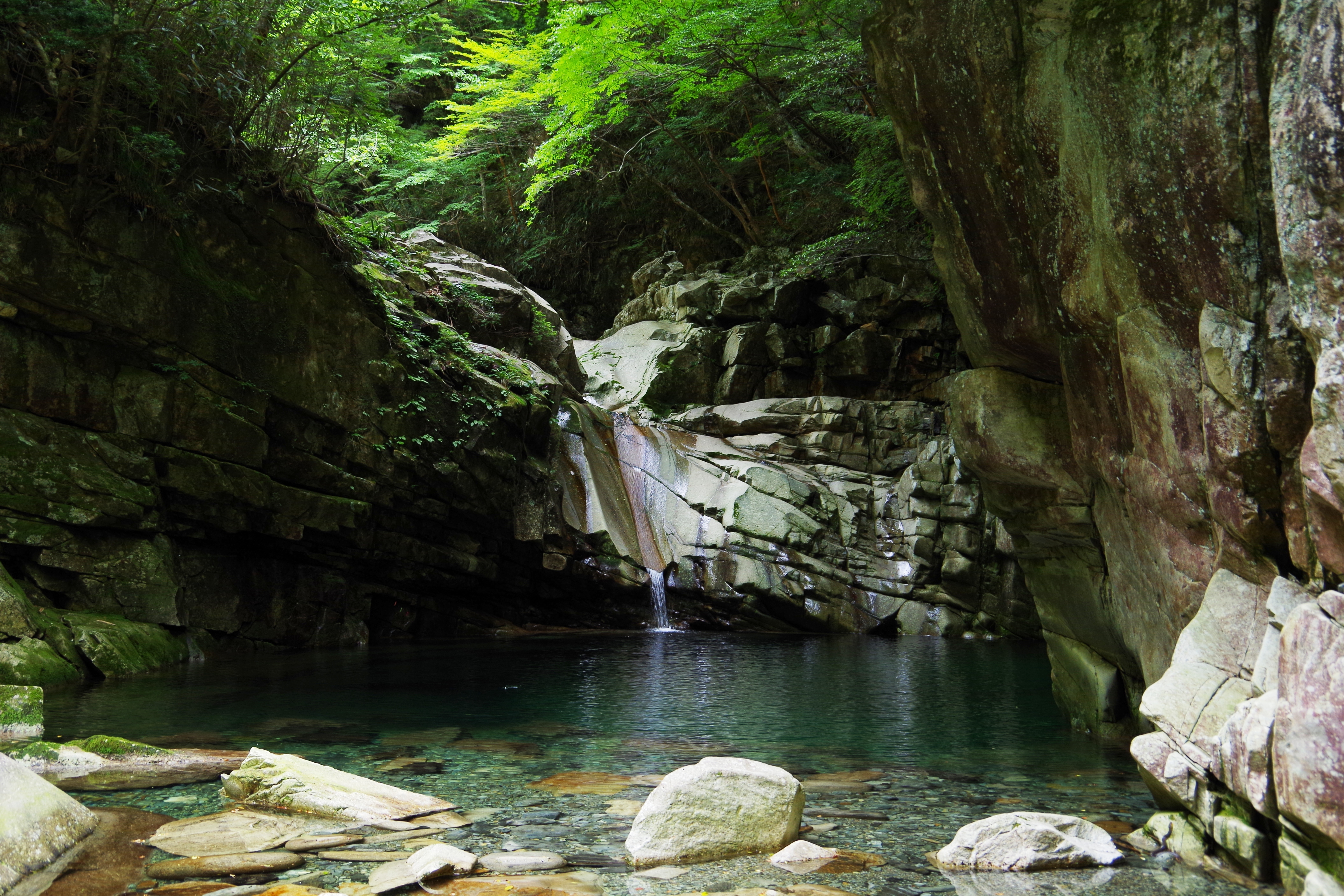 地峯国有林保護林ガマ滝