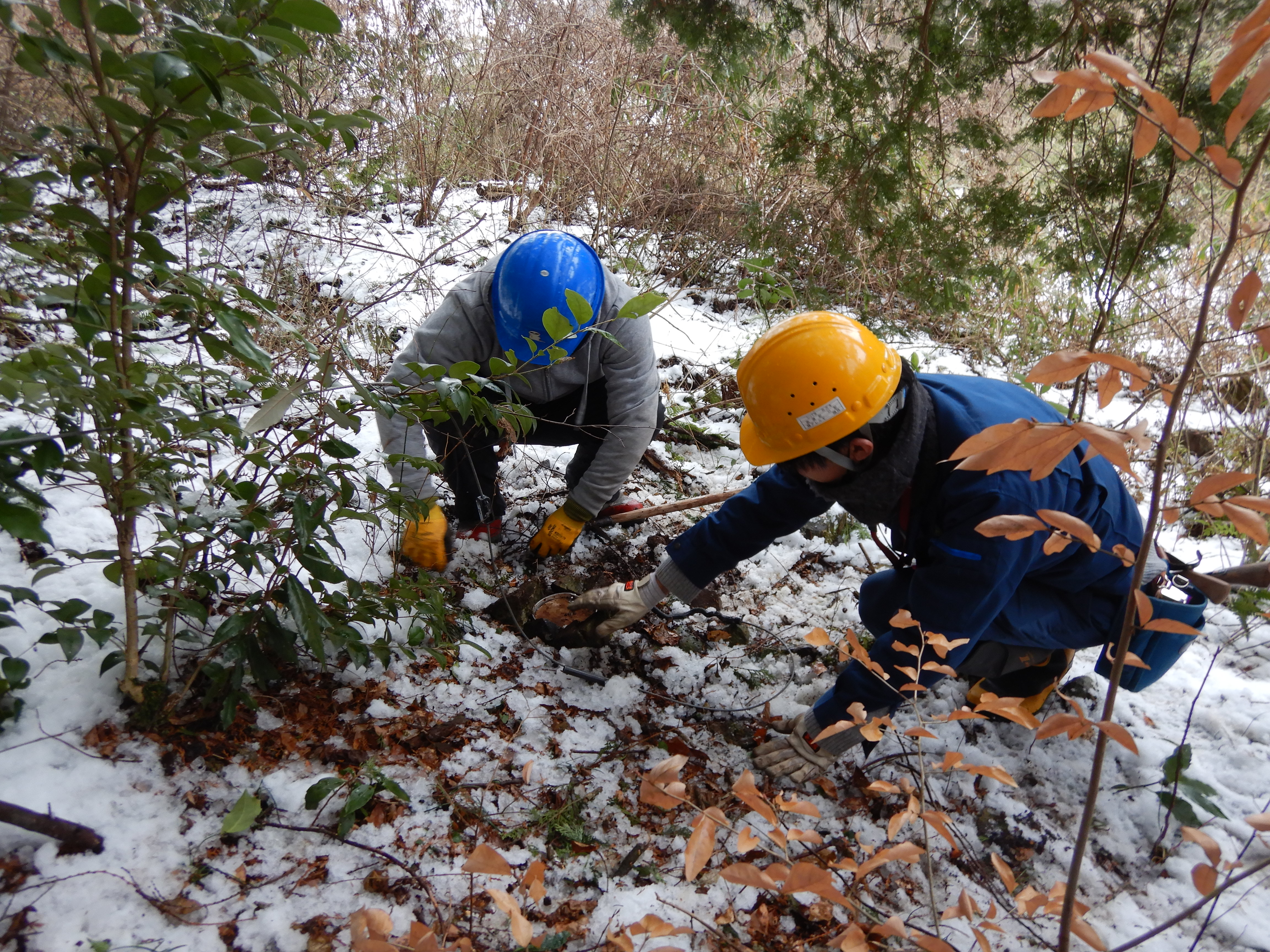 シカ罠設置に苦戦する生徒