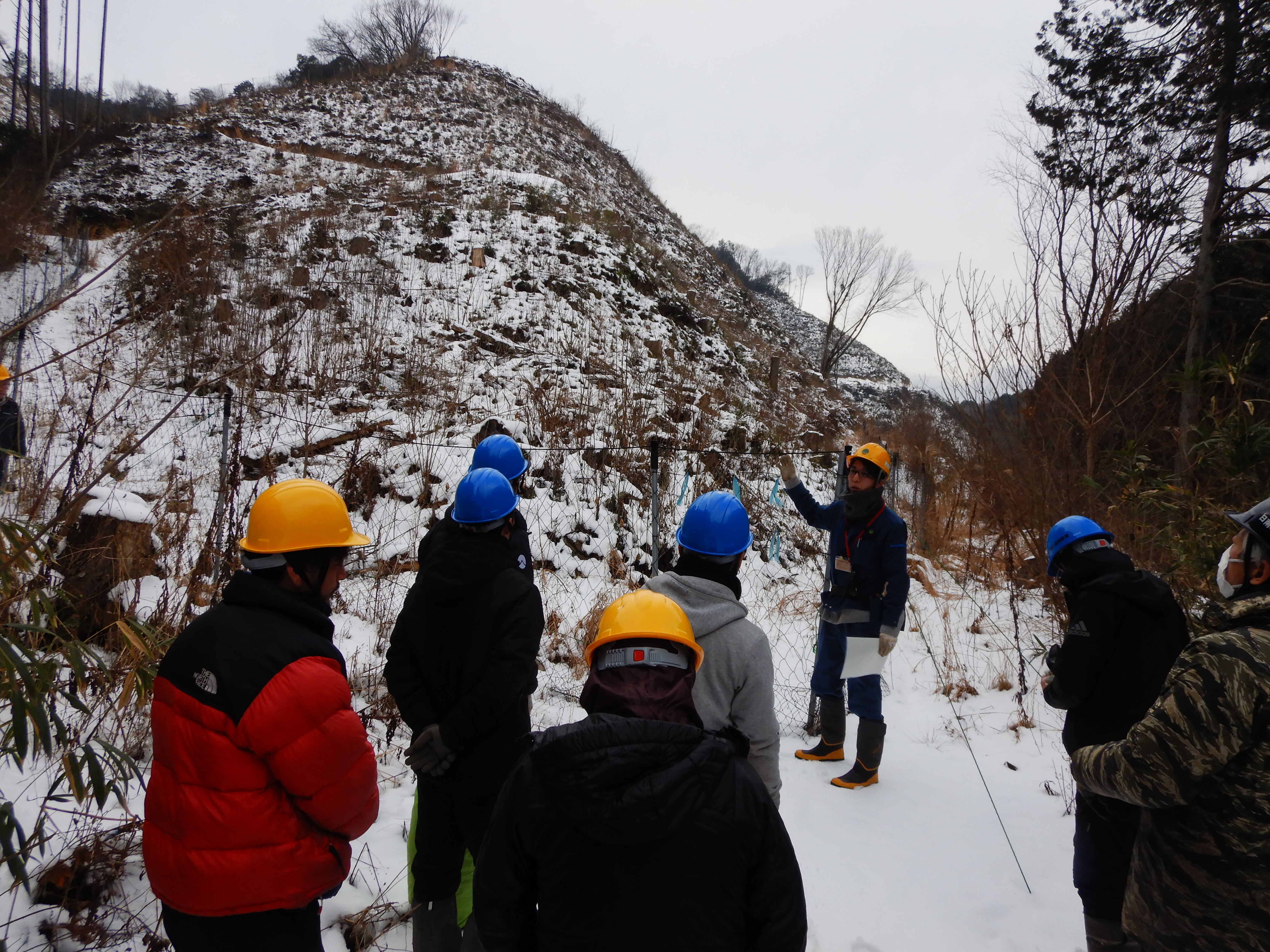 防護柵を設置した植栽地について説明を聞く生徒