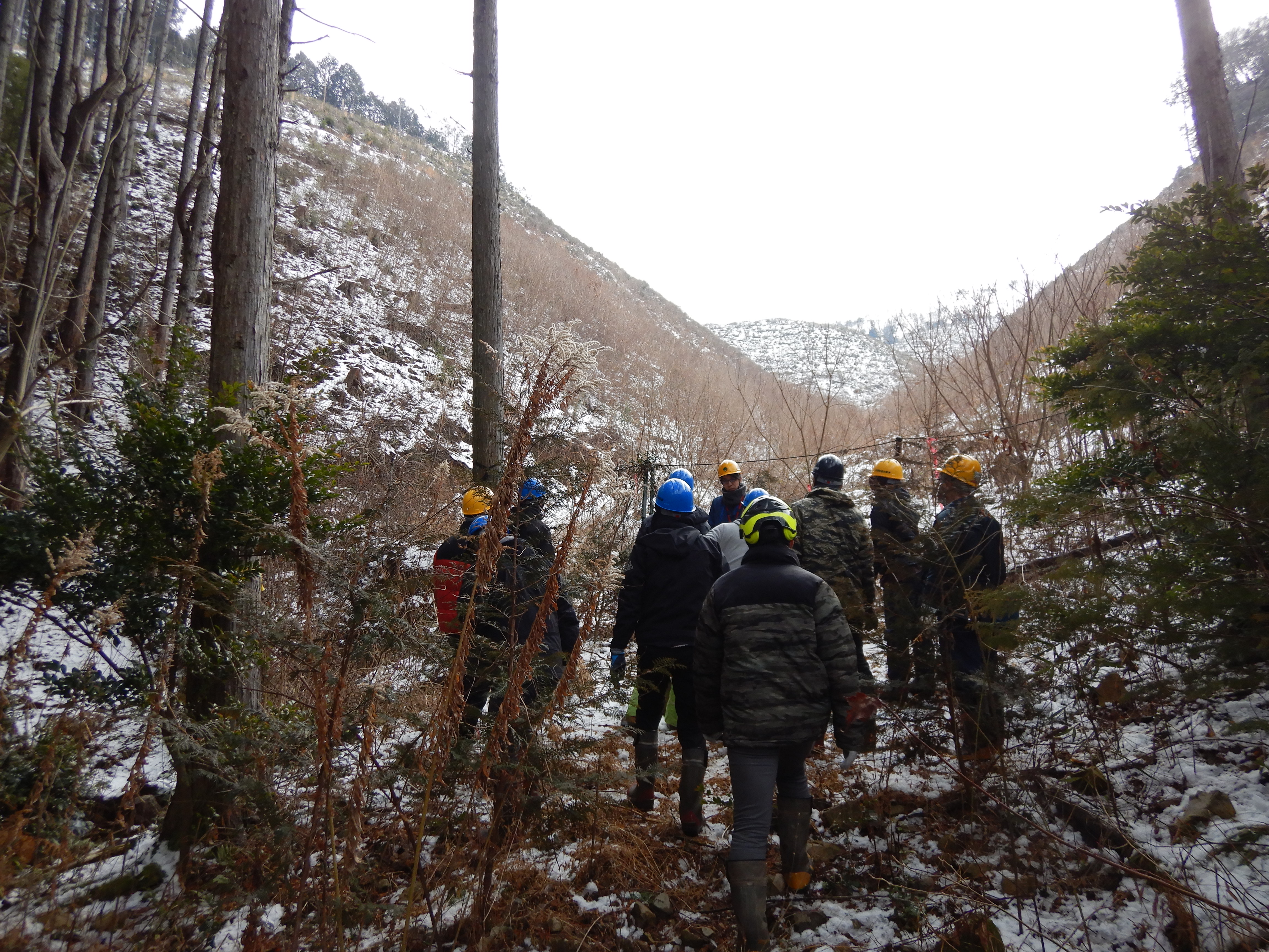 立木を利用した防護柵について説明を聞く生徒