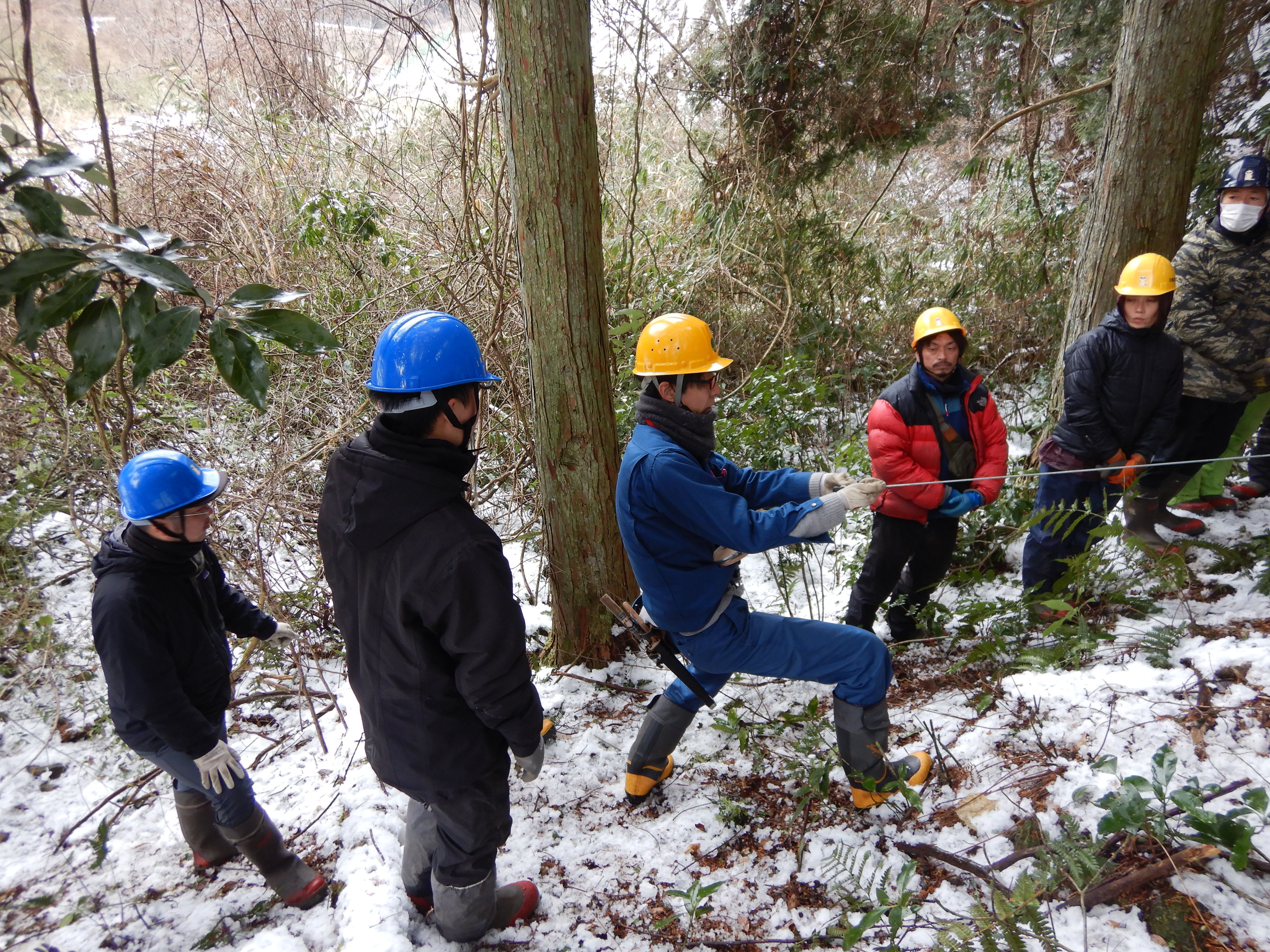 職員によるシカ罠設置の様子