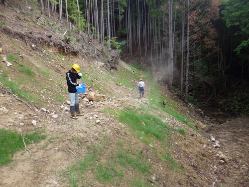 【治山事業箇所での緑化基材の散布】