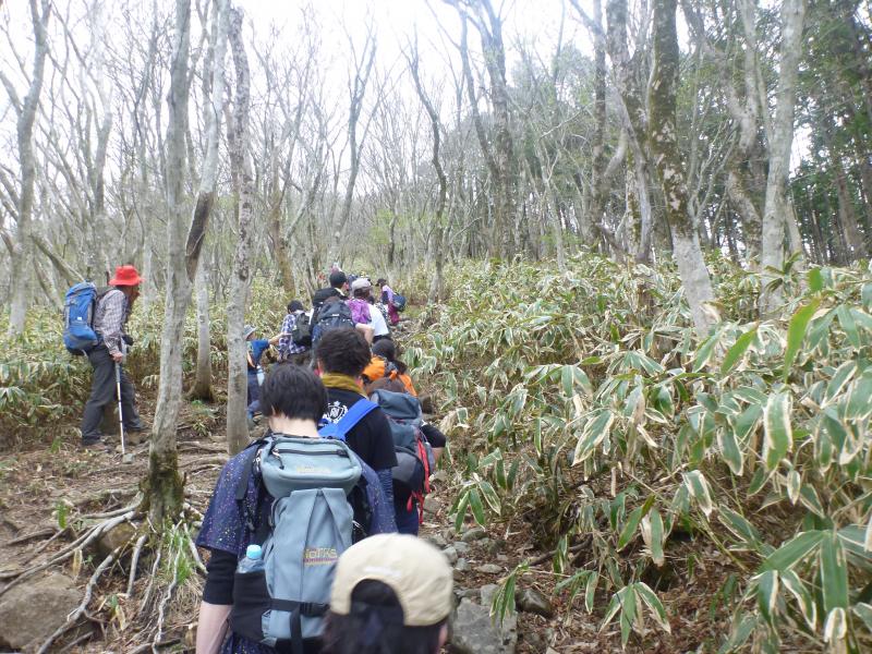 多くの登山者でにぎわう