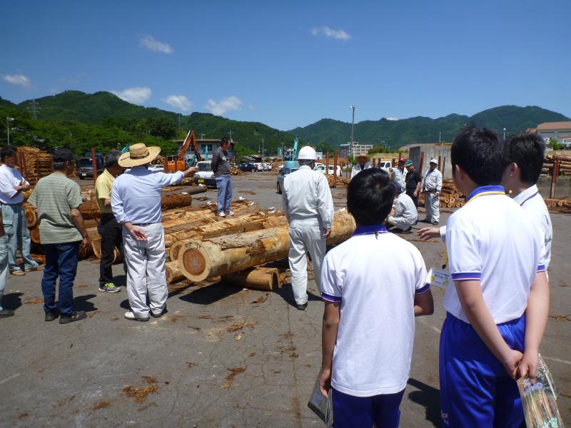 木材市場見学