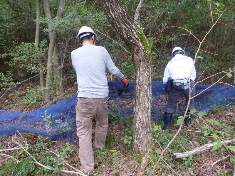 防護柵ドコモ