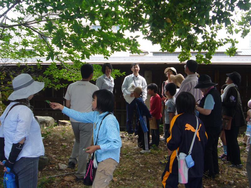 ミニ植物観察会