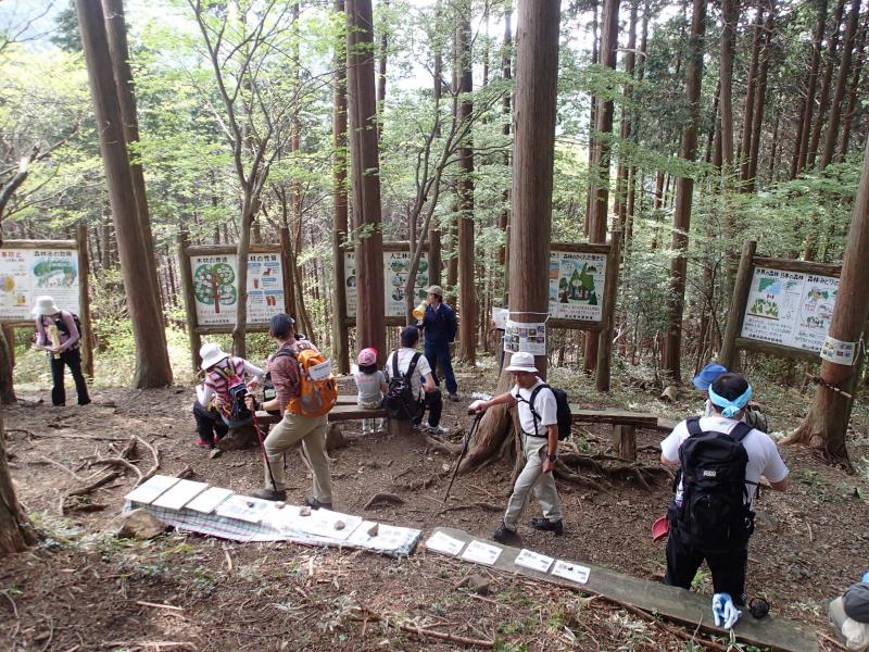 みどりの広場・森林教室2