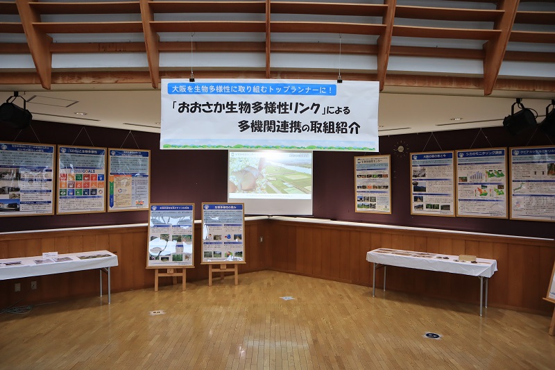 展示全体の様子