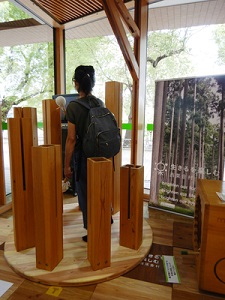 音を楽しむ来庁者