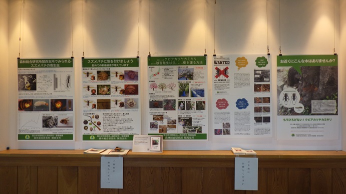 パネル展示2及びパンフレット