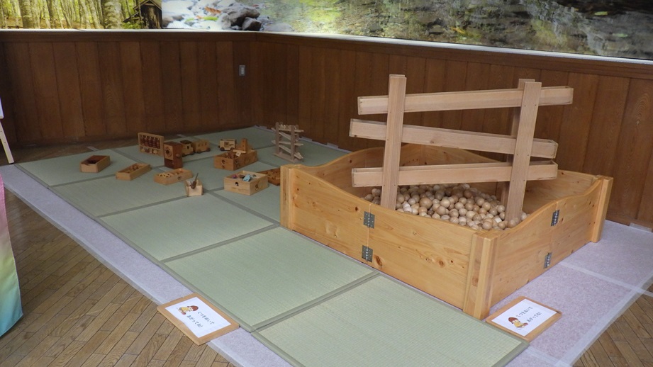 木製おもちゃと木の球プール