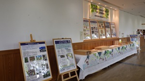 兵庫県立農林水産技術総合センター森林林業技術センター展示全体の様子