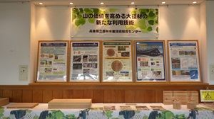 パネル、木材サンプル展示