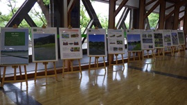 パネル展示(農業・農村の多面的機能の紹介等)