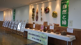 NPO法人自然と緑展示全体の様子