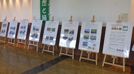 パネル展示