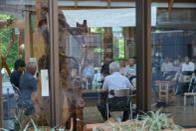 トークセッションの外からの様子