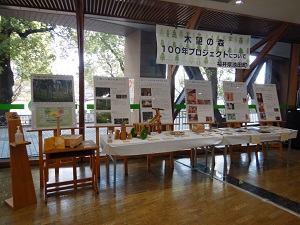 展示の様子