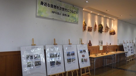 NPO法人自然と緑展示全体の様子