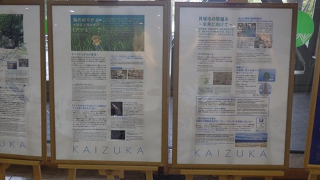 貝塚市の取組パネル展示