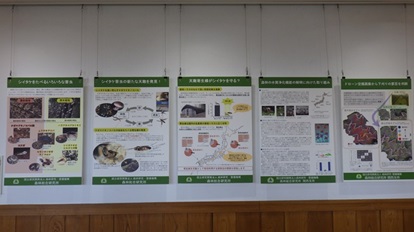 パネル展示3