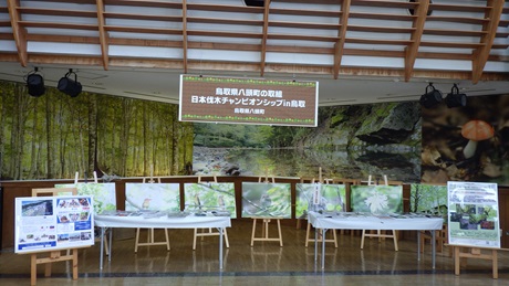 鳥取県八頭町展示全体の様子