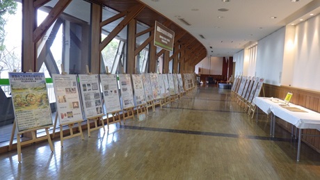 日本木材加工技術協会関西支部早生植林材研究会展示全体の様子