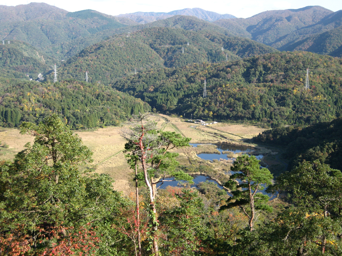 秋の中池見湿地　【天筒山】